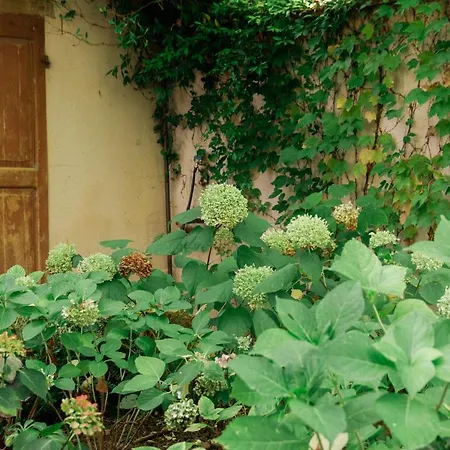 Apartment Casale Hortensia *
