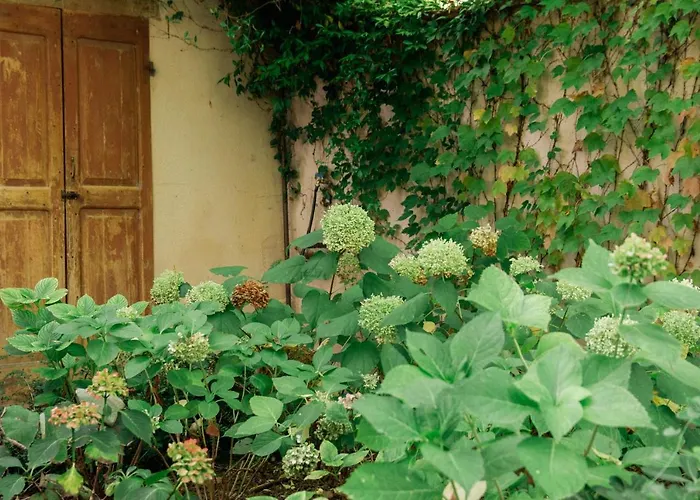 Lejlighed Casale Hortensia *
